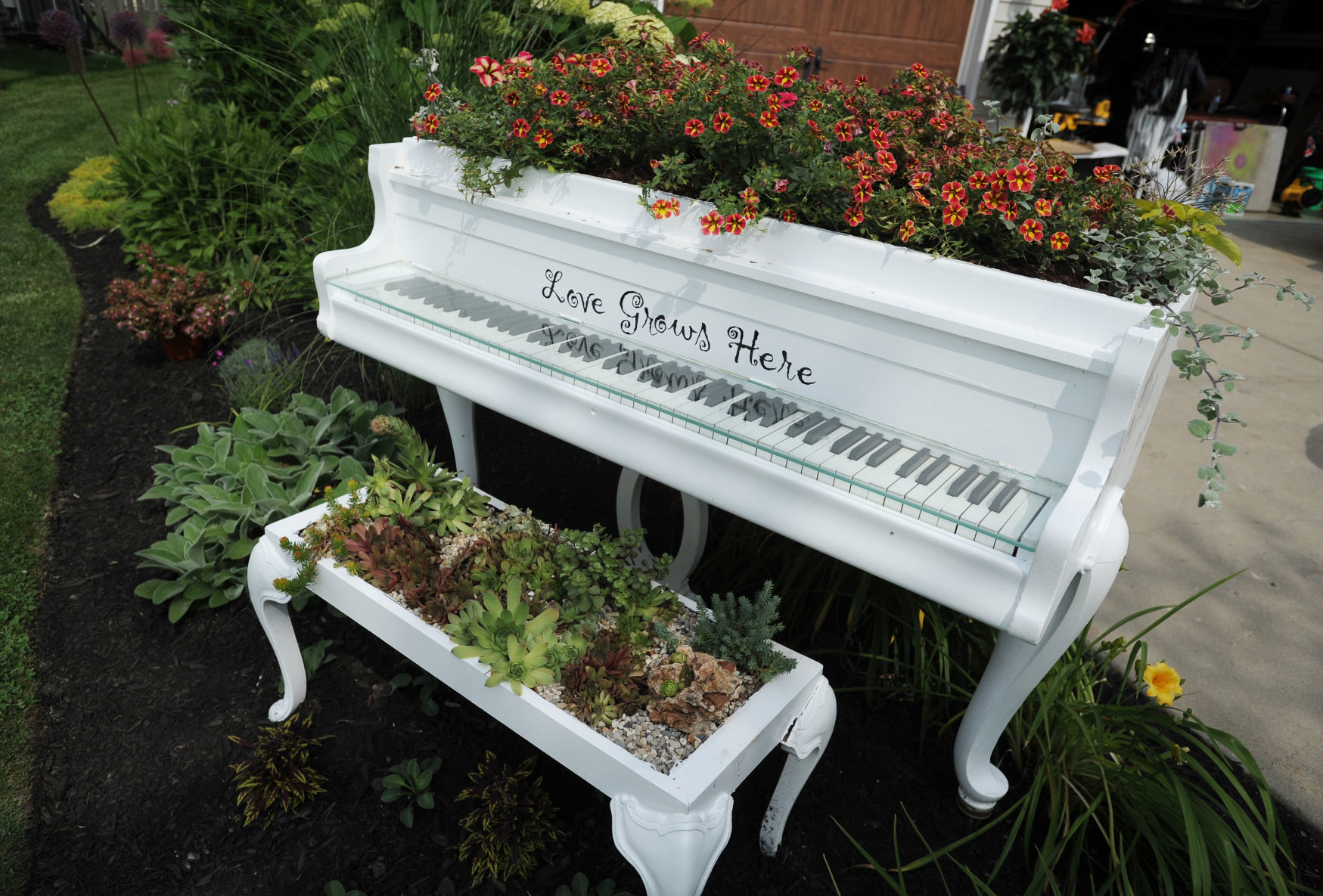 SECRET GARDEN - CASCIO